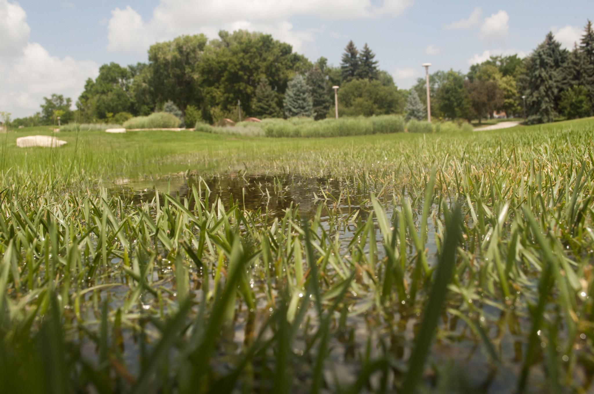 Puddle A flooded field on the CSU campus. Three days of rain have caused widespread fear of flooding and mudslides but have lowered real fire danger little. Photo by John Sheesley
